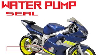 Gen 1 Yamaha YZF R6 water pump failure fix 99 02 Milky oil [upl. by Egwin]