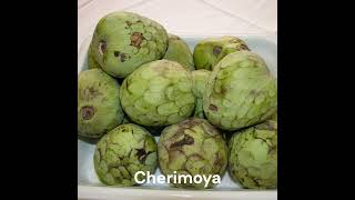 Cherimoya [upl. by Innoc]