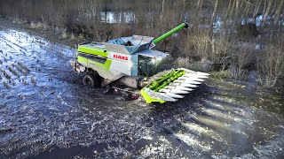 EXTREM CORN HARVEST in WATER  Claas Lexion 8600TT  France  2023 [upl. by Ginevra]