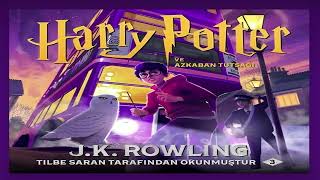 harry potter ve azkaban tutsağı 16bölüm professor trelawneynin kehaneti sesli kitap [upl. by Notslar717]