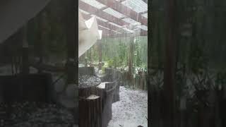 Unwetter in Feuerhof bei SulzbachRosenberg am 18 August [upl. by Allecsirp247]