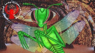 Insectoid and Insectillian Extraterrestrials [upl. by Mun]