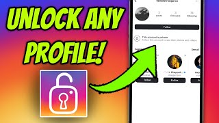 Is it Possible to View Private Instagram Profiles Check How 2024 [upl. by Greiner]