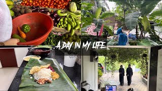 A day in my life before Wayanad landslideTastetours by Shabna Hasker [upl. by Drofnas]