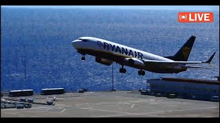 Madeira Airport Live Action LPMA Spotter ✈️ 13112024 [upl. by Yelnahs74]