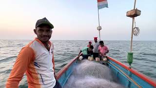 कोकणातील रात्रीची खोल समुद्रातील रात्रीची थरारक मासेमारी Night Mackerel Fishing In Arabian Deep Sea [upl. by Netsrik]