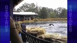 SeaWorld Tourist Video Shown At Hearing [upl. by Atilrep]