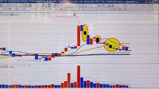 POSCO홀딩스  포스코퓨처엠 챠트분석 11월 5일 [upl. by Gerita]