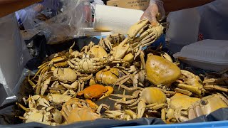 SOLD OUT in minutes 1000 Spicy Land Crabs  Jamaican Street Food in America [upl. by Hashimoto707]