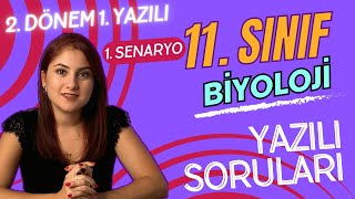 GÜNCEL SENARYO 1  11 SINIF BİYOLOJİ 2 DÖNEM 1 YAZILIYA HAZIRLIK  PDF [upl. by Seraphine]