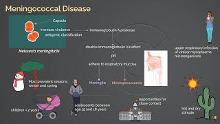 Meningococcal Infection [upl. by Piwowar]