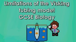 The Limitations of the Visking Tubing Mode of the Small Intestine  WJEC Biology  GCSE REVISION [upl. by Ecidnarb]