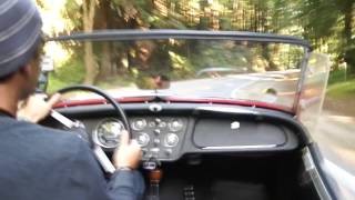 1960 Triumph TR3 Ride Along in Redwoods [upl. by Eirok]