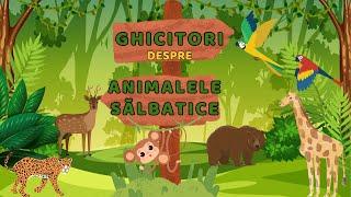 Ghicitori despre animalele sălbatice [upl. by Clyte]