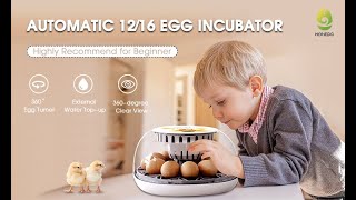 Smart 12 EGG INCUBATOR [upl. by Baerl]