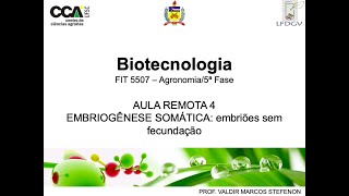 4BiotecAulaRemota4  Embriogênese somática [upl. by Meave]