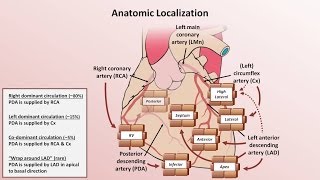 Intro to EKG Interpretation  Myocardial Infarctions Part 1 of 2 [upl. by Serica907]