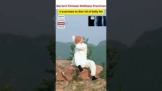 Shaolin Monks Guide to Belly Fat Loss  Kung Fu Fitness Tips health kungfuLose weight [upl. by Oicneserc]