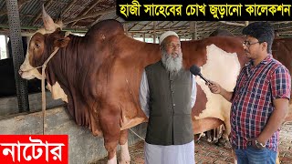 দেশি বিদেশি ১০০ টি চোখ জুড়ানো গরু নিয়ে প্রস্তুত নাটোরের হাজী সাহেবের গরুর খামার cow price 2023 [upl. by Aiet]