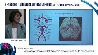 Anatomia vascolare dellorecchio evoluzione delle conoscenze [upl. by Kolivas250]