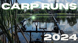 Carping 2024  Ep7 Carp Run Compilation [upl. by Rego922]