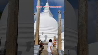 Thuparamaya Temple 🛕🇱🇰✅travel anuradapura srilanka shorts [upl. by Elna936]