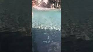 🌊Guhantara resort water falls Bangaloreresort waterfall water shorts bangalore holiday happy [upl. by Ynnattirb]