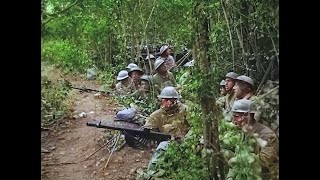 WWI Footage  Colorized amp HD Restoration  MeuseArgonne Offensive 1918 [upl. by Enellij]