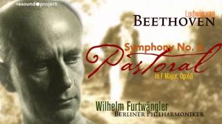 Beethoven  Pastoral Symphony  Furtwangler 1947 live [upl. by Aurita]