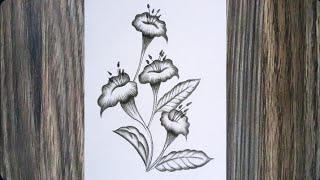 How To Draw A Datura Flower Pencil Sketch Drawing For Beginners [upl. by Linnet]