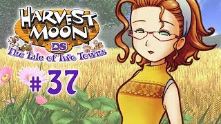 🍳 Harvest Moon Geschichten zweier Städte  Lets Play 37 【 Deutsch 】  Mein erster Bienenstock [upl. by Ocire]