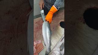 How to Fillet a Fish Salmon A Beginners Guide [upl. by Bevash]