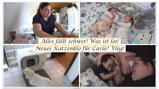 Alles fällt schwer Luca kuschelt Furbulous Box  Reborn Baby Deutsch  Little Reborn Nursery [upl. by Noelc]