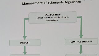 Eclampsia Algorithm mangement  and  International patient safety goals [upl. by Everick272]