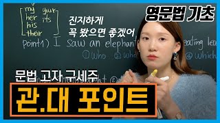 관계대명사 포인트 관계대명사 개념 적용해서 문제풀어보기 시험 포인트 2가지 짚고 넘어가기👍 [upl. by Janie]