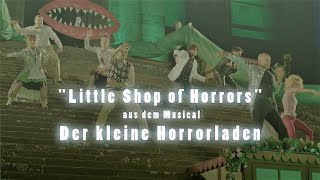 Little Shop of Horrors  DER KLEINE HORRORLADEN  Freilichtspiele Hall [upl. by Brander]