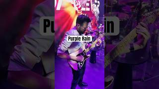 Purple Rain ft Strymon Cloudburst ☔️ guitar purplerain fyp prince [upl. by Anirat]