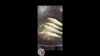 Ann T Mix Vlog is liveLets Fry Fried EggDried FishSatisfyingBreakfast [upl. by Adnwahsat]