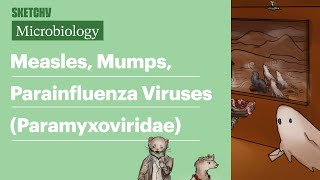 Measles Mumps Parainfluenza Viruses Microbiology  USMLE Step 1  Sketchy Medical [upl. by Ama]