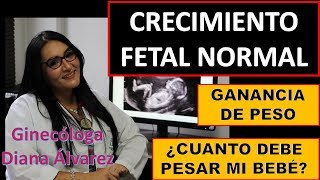 CRECIMIENTO FETAL NORMAL POR GINECOLOGA DIANA ALVAREZ [upl. by Yuzik]