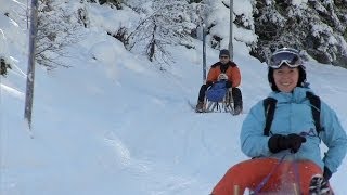 Schlittenfahren in Tirol Winterurlaub im Skigebiet Tirol ⛷ [upl. by Hayse]