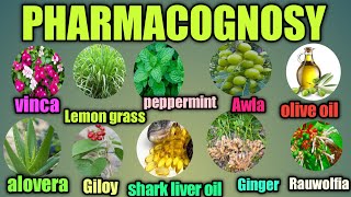 INTRODUCTION TO PHARMACOGNOSY IN HINDI pharmacognosy lectures in hindi Diploma Pharmacy first year [upl. by Bogosian]