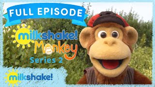 Milkshake Monkey  Hide and Seek  Full Episode [upl. by Eitak]