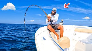 2 Hours Of Crazy Reef Fishing [upl. by Llednav]