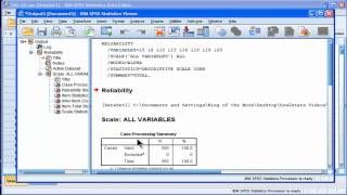 Cronbachs Alpha  SPSS part 1 [upl. by Allsopp205]