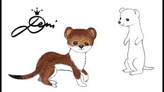 Hermelin schnell zeichnen lernen ✍🏻 как се рисува хермелин ✍🏻 how to draw an ermine 貂 [upl. by Cherlyn]