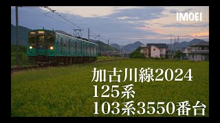 103系•125系加古川線2024 夏 [upl. by Eenot]