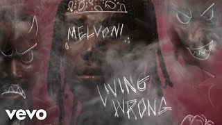 Melvoni  LIVING WRONG Official Audio ft DJ Smallz 732 [upl. by Aical]