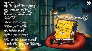 Manoparakata මනෝපාරකට Shinhala Song Slowed And Reverb Playlist 01  Calm vibes  Mind relaxing [upl. by Naujuj]