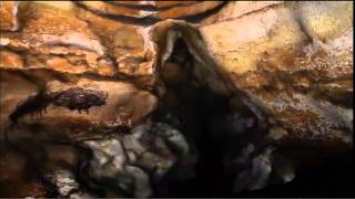 lascaux caves virtual tour [upl. by Agosto429]